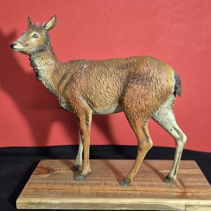 cerbiatta