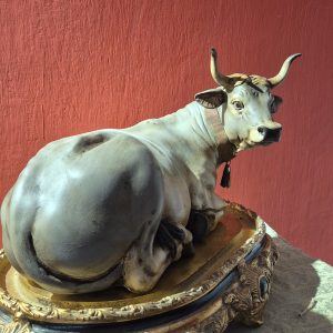 mucca coricata