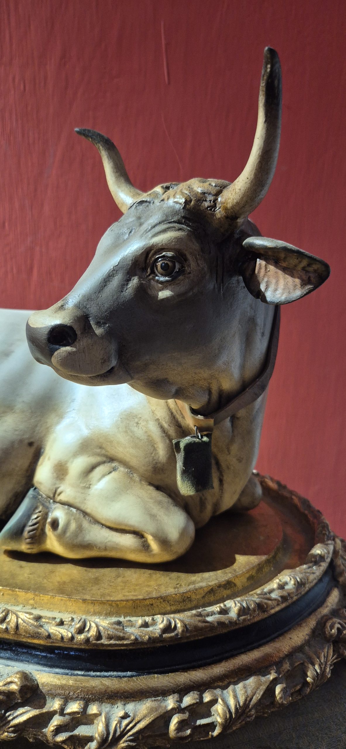 mucca coricata - immagine 2