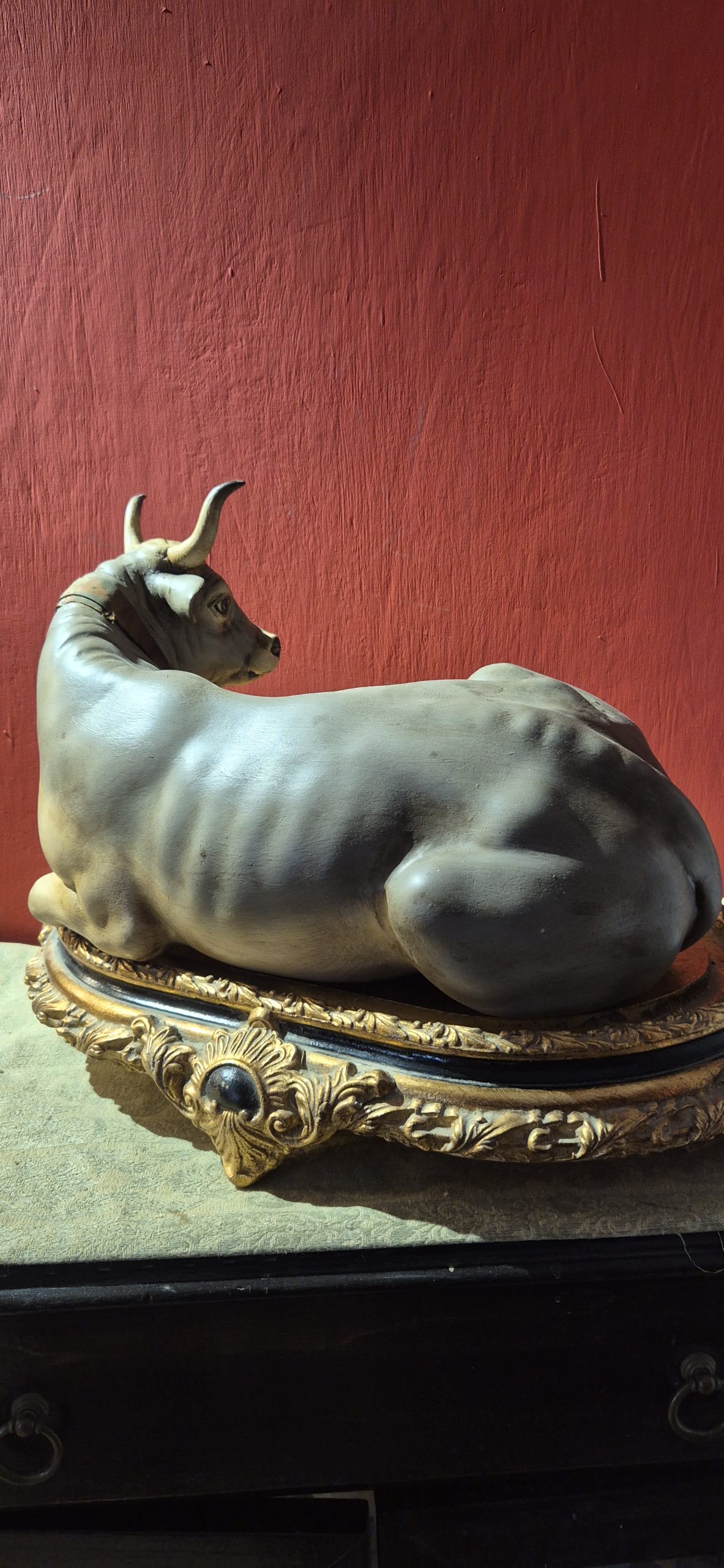 mucca coricata - immagine 3