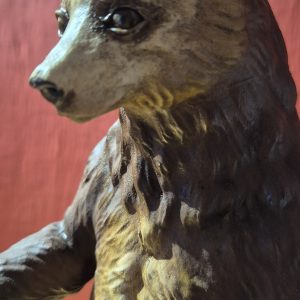 orso domestico